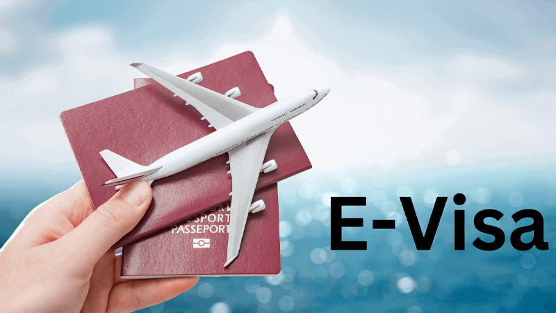 Thủ tục xin visa du lịch Việt Nam: Chi tiết từ A-Z năm 2025 6 thu-tuc-xin-visa-du-lich-viet-nam-1